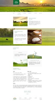 打造卓越體驗 大家發食品網頁設計與軟件開發全攻略